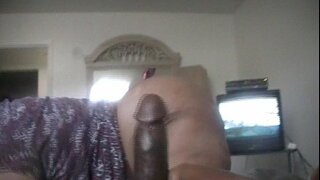 ĦOXNA Gwerra l-irdigħ u l-annimal jilgħaq il-wiċċ sakemm ikun niexef